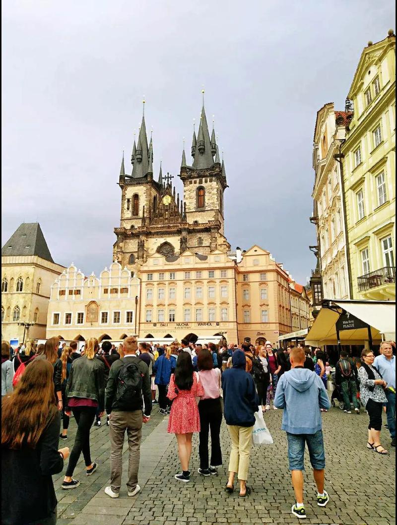 综影视文 综影视文优势：结构清晰