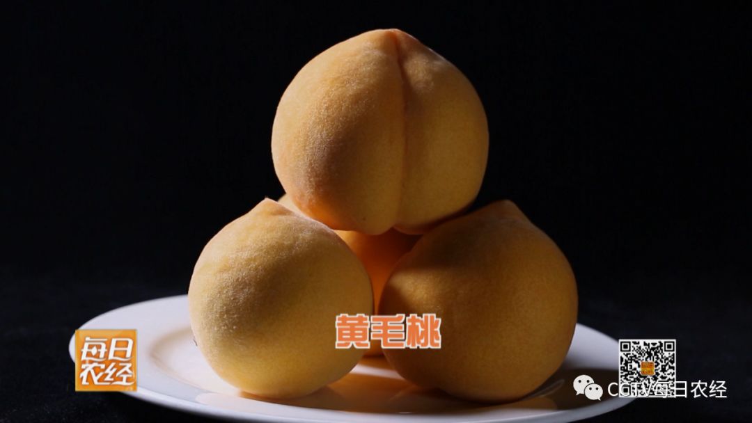 女人久久久国产精品久久 产精这些品牌的品久故事