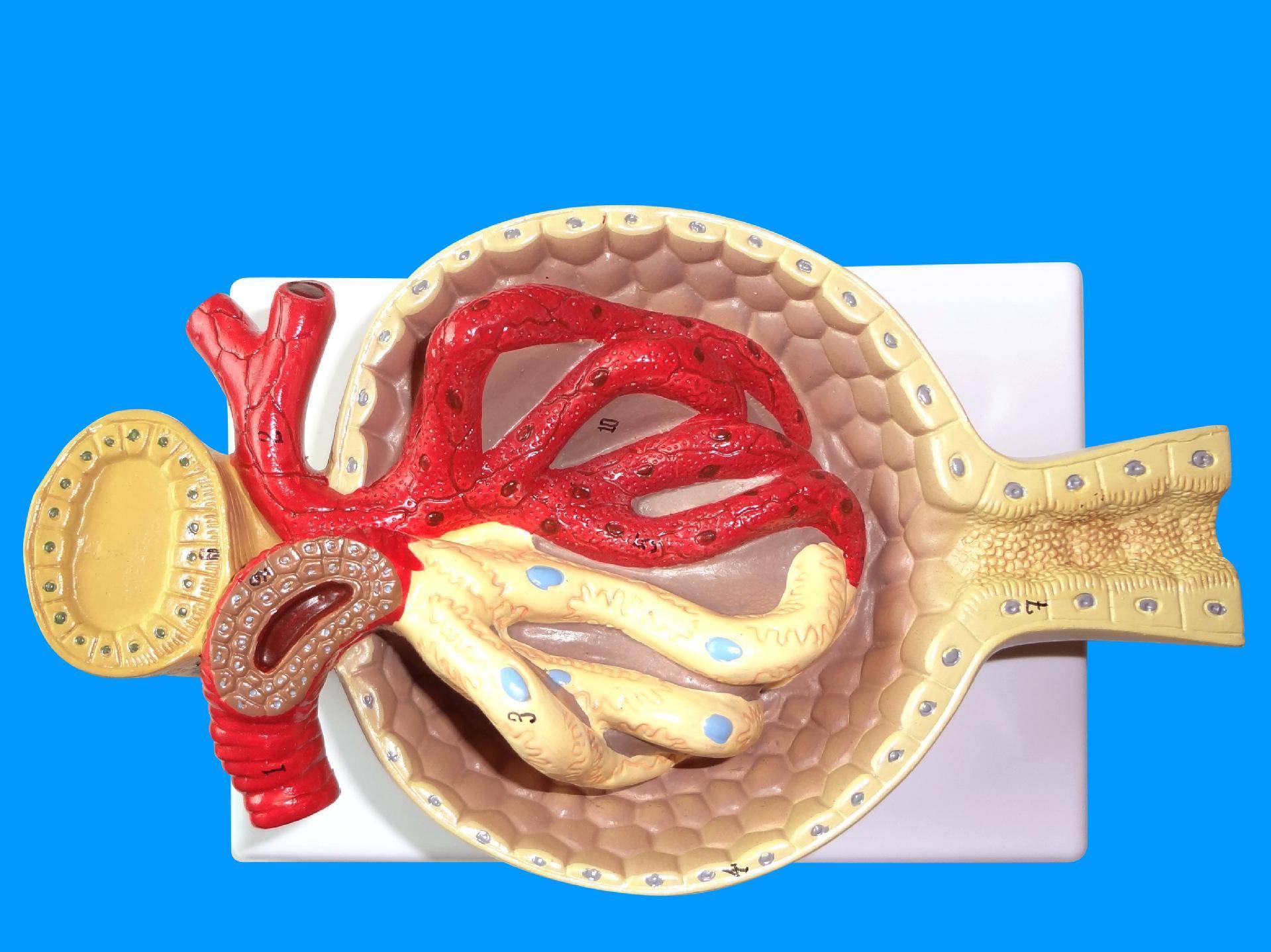 brill.b电影 电影因为“B”常指代B站