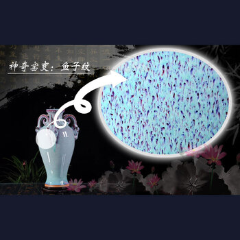 51视频在线看 视频线电视剧或节目类型