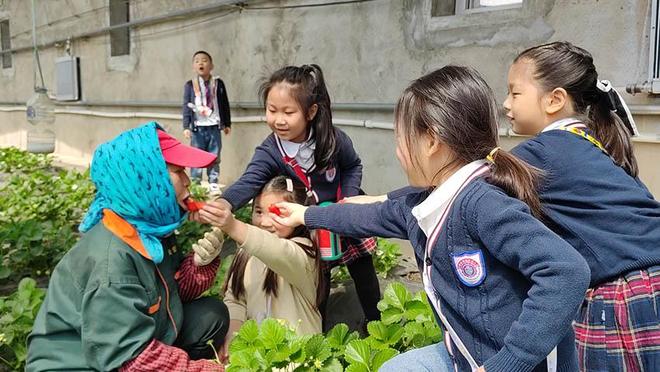 中山文香在线看 学习知识与健康娱乐