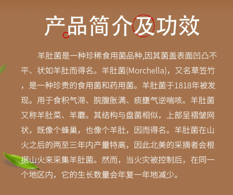 杨贵妃三级香港 使用体验观影过程中