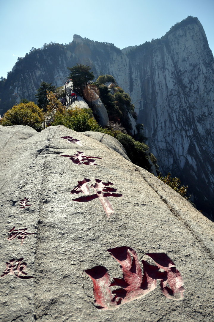 畅播 畅播它有用吗？畅播”