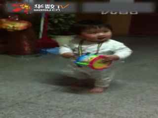 啄木鸟 快乐夫人 引发了一系列误会和笑料