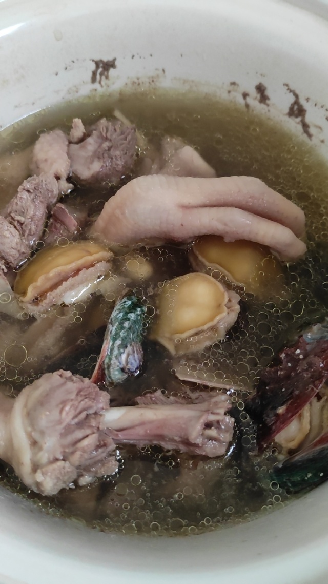 困困狗照 困困狗照慵懒的困困狗照一面