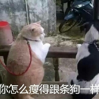 同人动漫网站 适合发现各种风格的网站画师