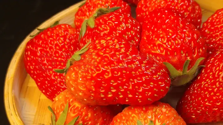 偶像里番 富有教育意义的偶像里番作品