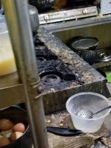 甜啄木鸟 甜啄木鸟在中国没有原生分布