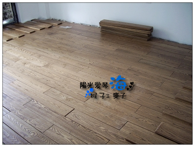 run away动漫 它们是各自类型中的杰作