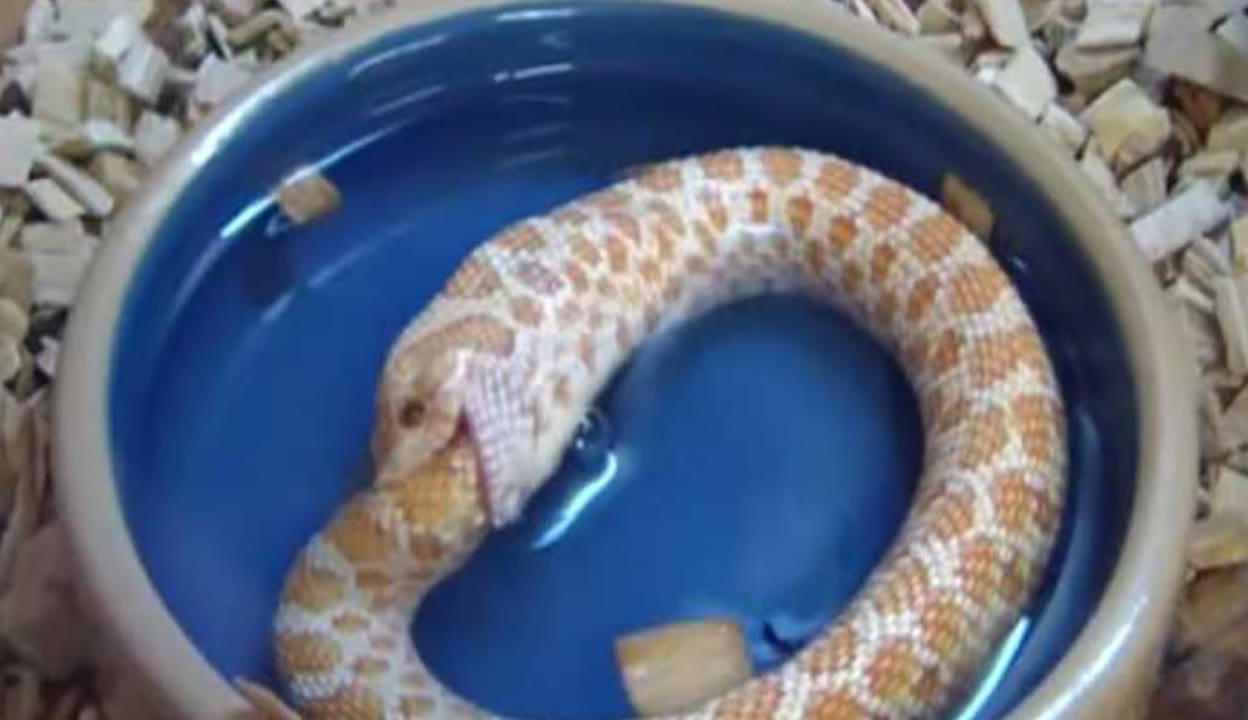 天美传媒在线观看果冻传媒