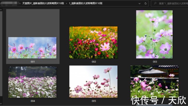 神印王座3d同人动漫