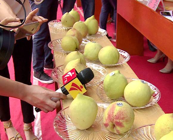 吃瓜91大事件 界面设计以信息流为主