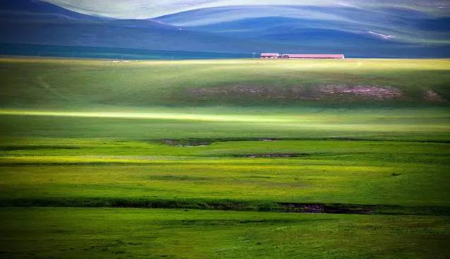 155fum黑料事件 且烟雾输出较为稳定