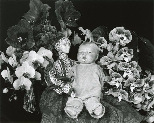 福利视频 知识科普等轻量级内容为主