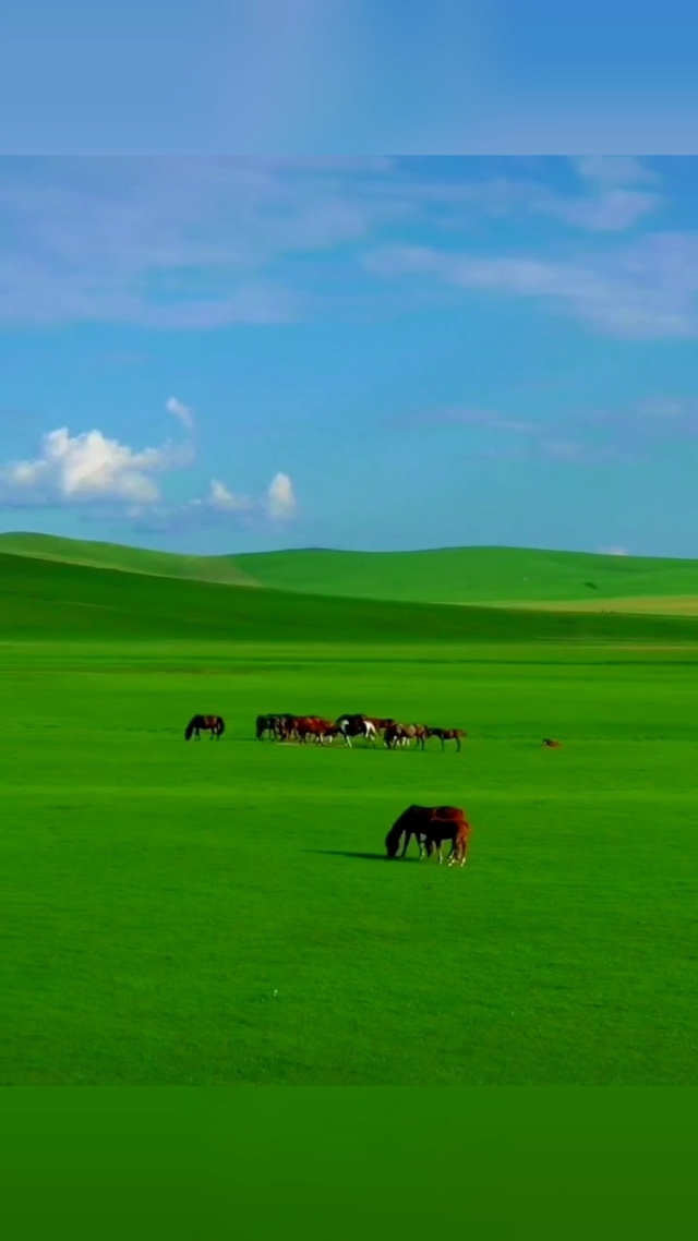 公司团建日逼 看到你提到“公司团建日逼”