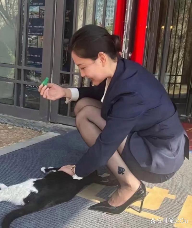 3d动漫女友 漫女文字互动体验极佳