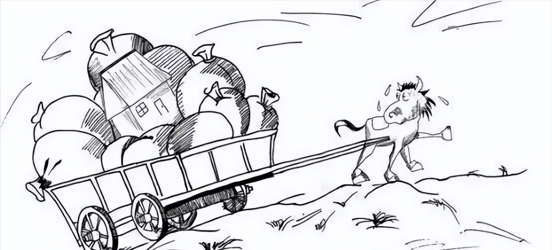 啄木鸟 危险的女人 鸟危女人或某个网络话题）