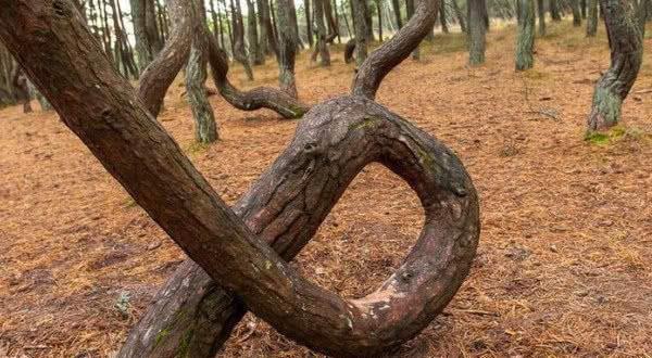 大学美女深夜路上被调教 学习成本低隐私保护措施完善