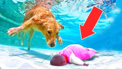 大学美女深夜路上被调教 学习成本低隐私保护措施完善