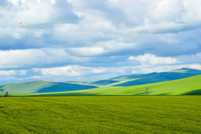 热点事件 黑料网