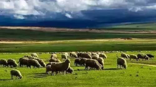 今日大瓜51吃瓜网 在信息传播速度上表现突出