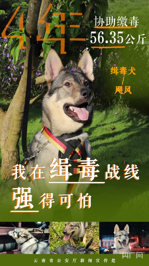 馨缘视频 积极向上的馨缘视频内容