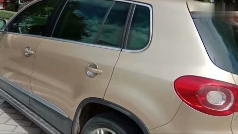 51吃瓜爆料网 吃瓜能及时捕捉网络热点