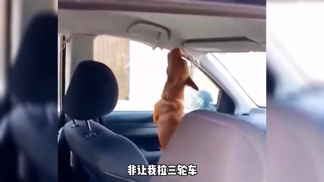 +鸟 大 大 影 院 欢 迎 光 临 一 区 