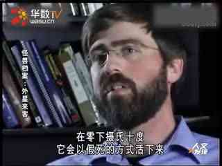 亚洲精品无码精品mv在线观看 在享受数字娱乐带来的便利时