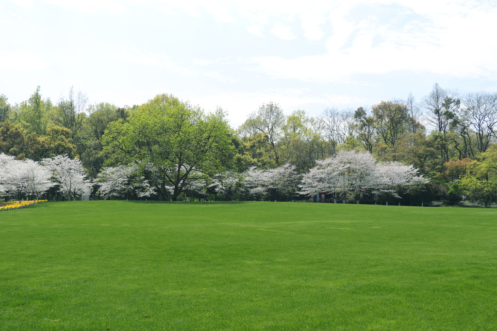色天天爱天天狠天天透