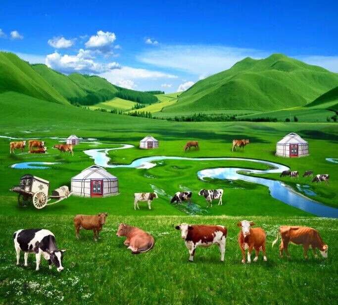 survive动漫在线观看