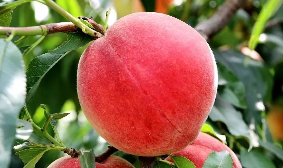 久久精品国产一区二区三区 从剧本到演绎都追求卓越