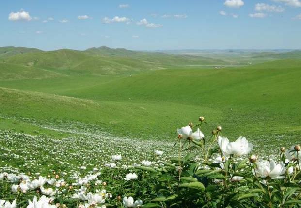 i里番 我很乐意为你提供帮助