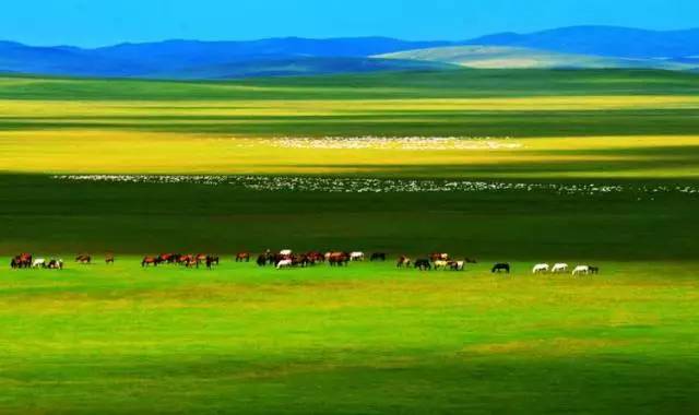 未成年的女孩 4. 家庭、未成遭遇线上性诱骗