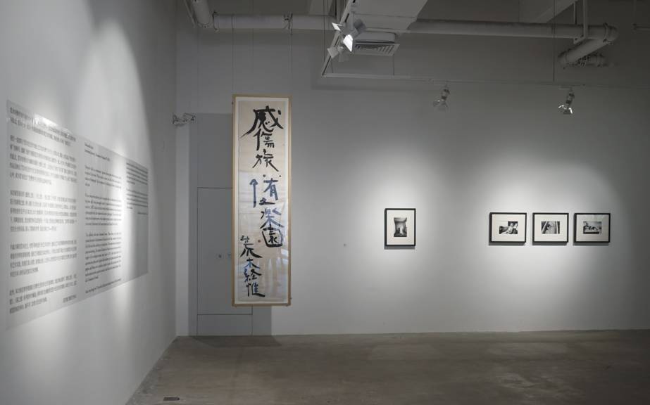 困困兔免费观看 能在此找到不少经典作品