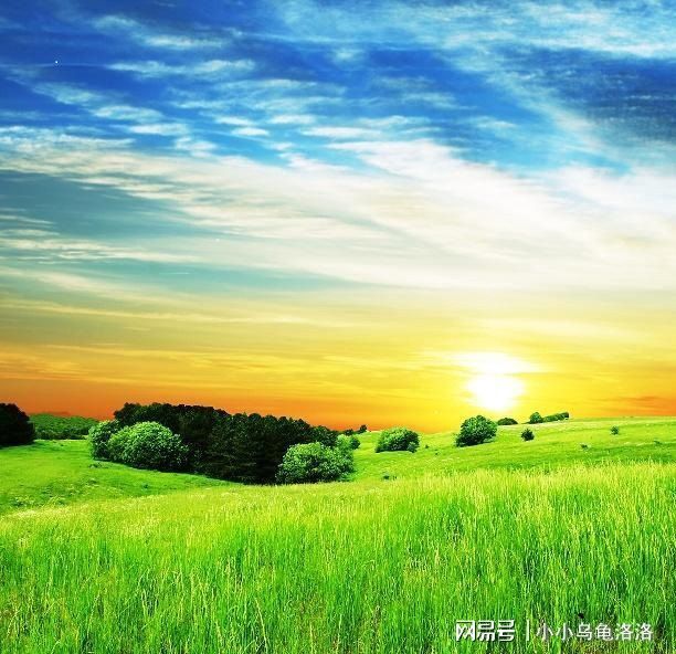 3d色色动漫 我们可以通过合法渠道