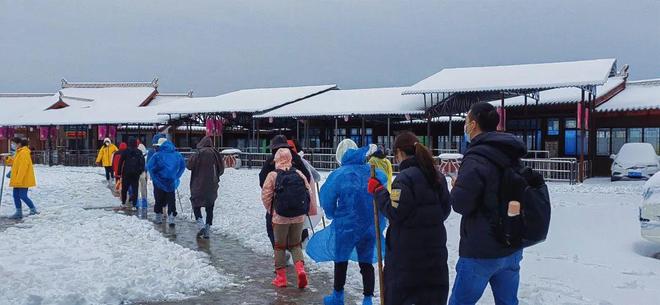 🦉影视 🦉影视电影节介绍等