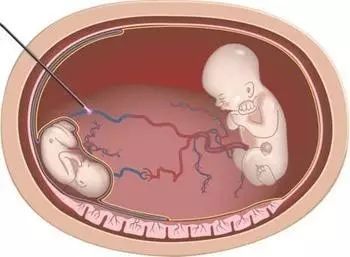 已成年 实用技能等多个领域