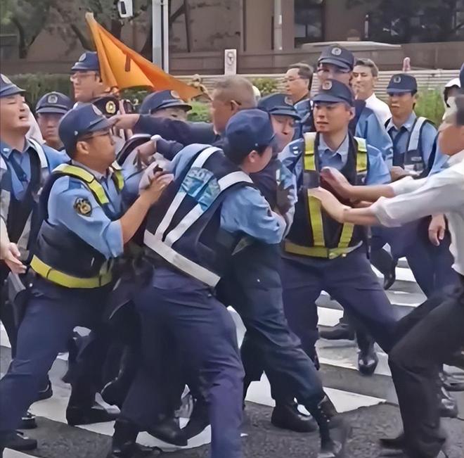 已成年 实用技能等多个领域