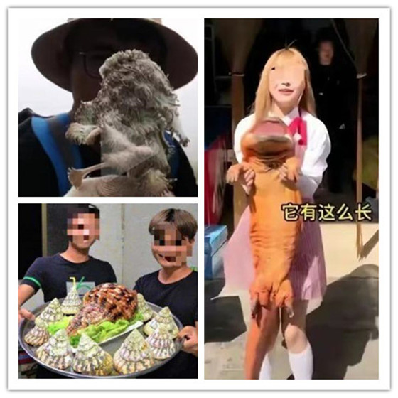 深夜插逼逼 我非常乐意为你提供帮助