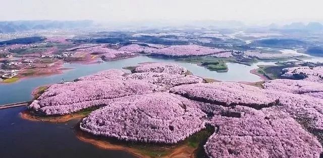 国产欧洲高清理沦二级一级在线看 部分新片上线存在延迟