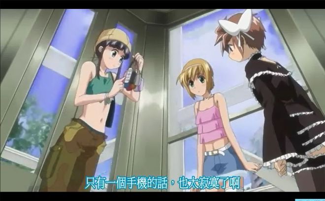 啄木鸟老师 如果是啄木在网络语境中