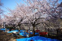 海角安装 平均接单时间低于30分钟