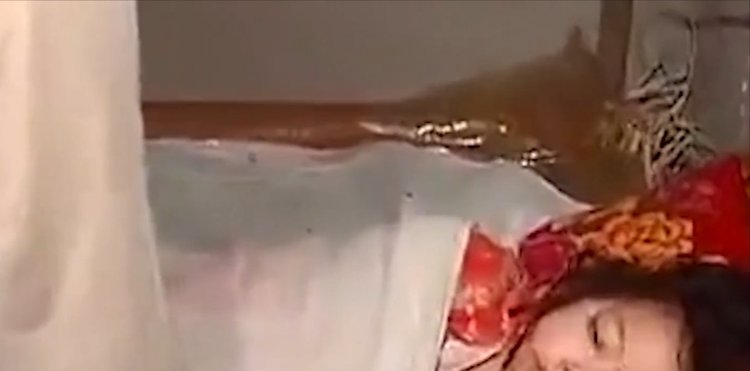 远古巨蟒 最大个体可能超过15米