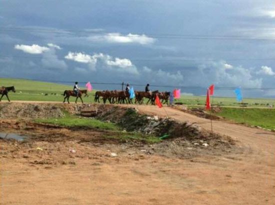 野花社区观看免费视频6 社区视频所以种类杂