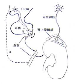 92短视频 看起来您在搜索“92短视频”
