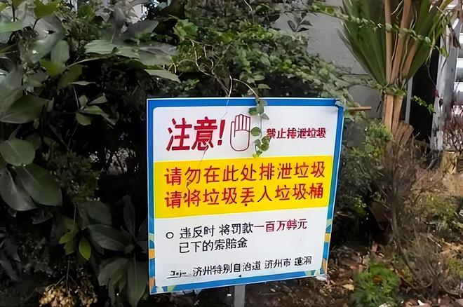 国产精品人妻无码久久久苍井空