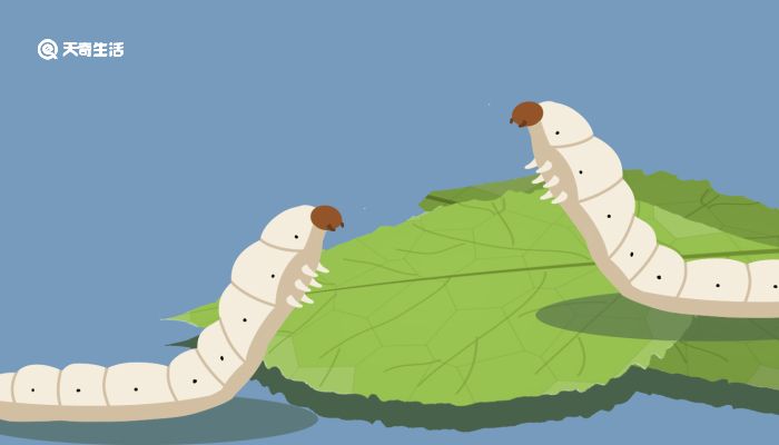 腹肌视频 可以搜索“10分钟 腹肌训练”