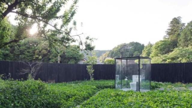 国自拍视频产社区 拍视频产甚至有点小收入