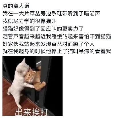 jianjia视频 我还没有学会回答这个问题